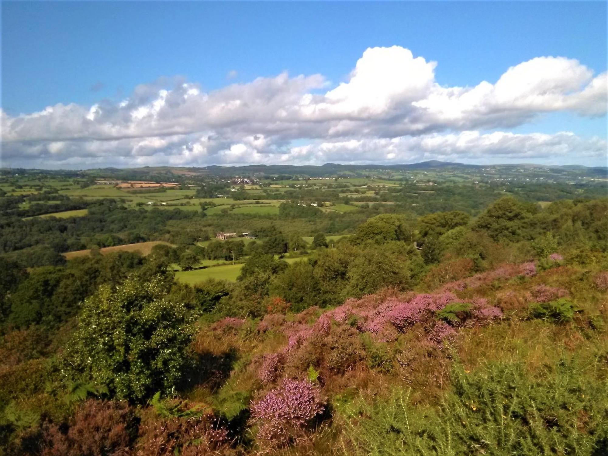 Tranquil Countryside Cottage For Two Wrexham Bagian luar foto